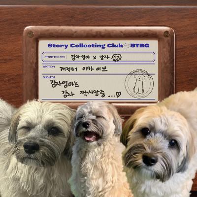 Ep.040 [캐릭터 아카이브] 얌전하고 낯가리는 강아지 감자 (영상은 스포티파이&유튜브에서!)