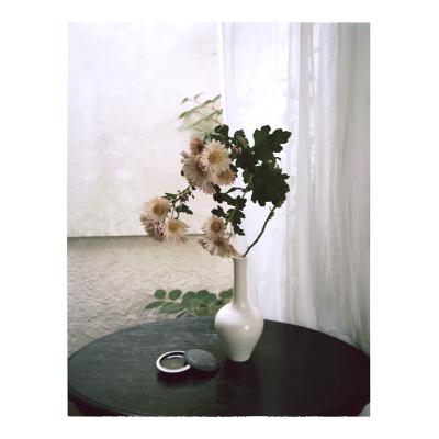 【第９回】菊