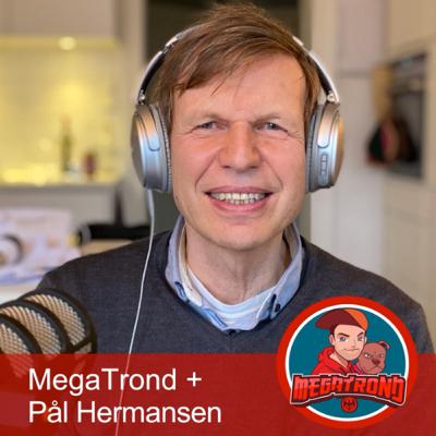 Pål Hermansen