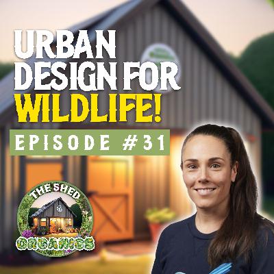 #31 - Is Your Neighbourhood Wildlife Friendly? | Dr Jacinta Humphrey [RMIT]