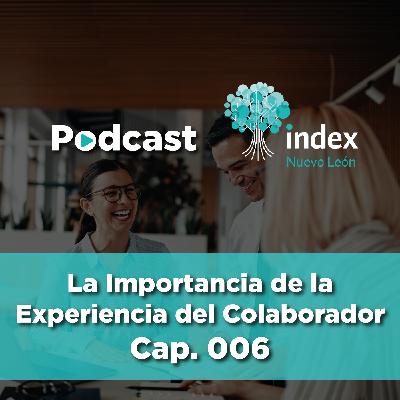 006 | La Importancia de la Experiencia del Colaborador 006 | La Importancia de la Experiencia del Colaborador