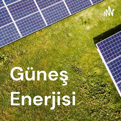 Bölüm 39 - Murat Belen