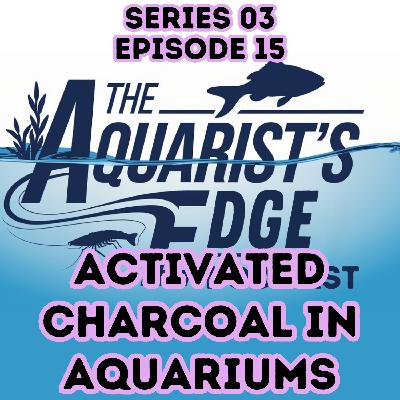 Activated Carbon (Charcoal) in Aquariums: What It Does, When to Use It, and Common Myths Activated Carbon (Charcoal) in Aquariums: What It Does, When to Use It, and Common Myths