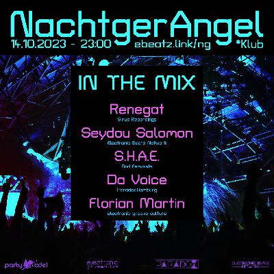 NachtgerAngel - The Beginning NachtgerAngel - The Beginning