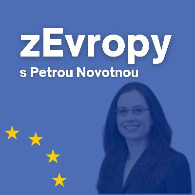 Co dělá právník-lingvista a mnohojazyčnost EU