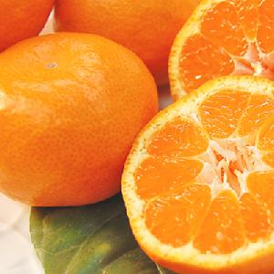 芥川龙之介:橘子 芥川龙之介:橘子