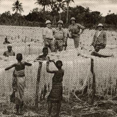 Kolonialer Schädelraub - Der Kampf der Kiwelus um ihre Ahnen Kolonialer Schädelraub - Der Kampf der Kiwelus um ihre Ahnen