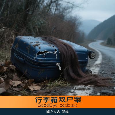【48】神奈川行李箱双尸案