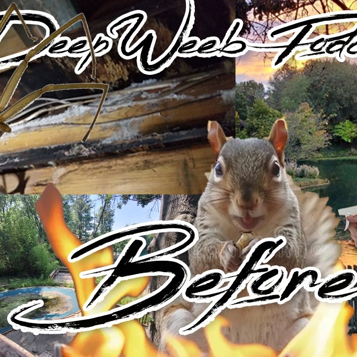 BEFORE - KanjiEater's American Akiya Adventure - The Deep Weeb Podcast 21