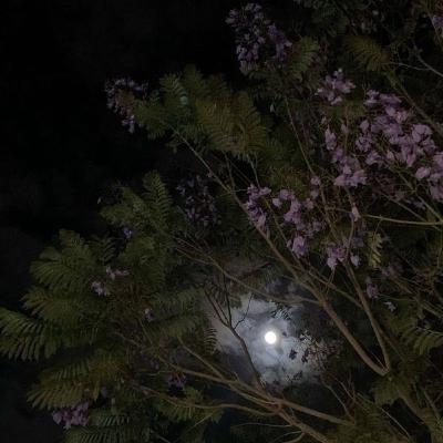 Suspensión - Vinícius de Moraes. Suspensión - Vinícius de Moraes.