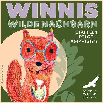 Staffel 3 / Folge 5 Amphibien: Winzige Wasserdrachen, furchtbare Frösche und lautstarke Luftballons