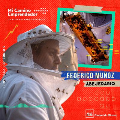 "Pensamos que ibamos a nadar en miel al primer año" - Federico Muñoz, Fundador de Abejedario