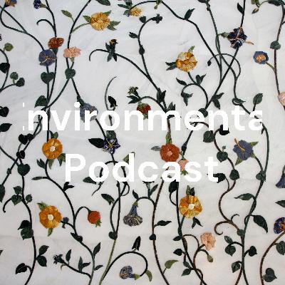 Environmental Podcast