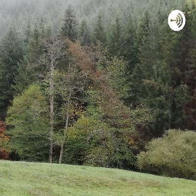 Brüderchen und Schwesterchen - Ein Märchen der Gebrüder Grimm