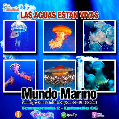 LAS AGUAS ESTÁN VIVAS