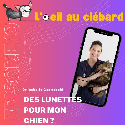 Des lunettes pour mon chien Des lunettes pour mon chien