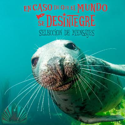 S27 Ep6230: Selección de Mensajes