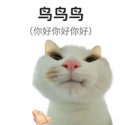 Vol.29 啊啊怎么老实人总是后知后觉被套话｜预感不对咱可不回应