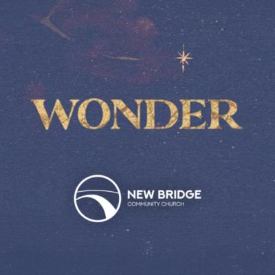 The Wonder of Family (The Wonder of Christmas)