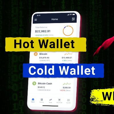 #5: Wallet and its Types