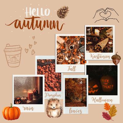 17 | Leaves 🍂, rain☔️, my autumn & more 🍁