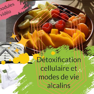 Formation sans mucus, détoxification cellulaire et modes de vie alcalins ° 6 modules vidéo Formation sans mucus, détoxification cellulaire et modes de vie alcalins ° 6 modules vidéo