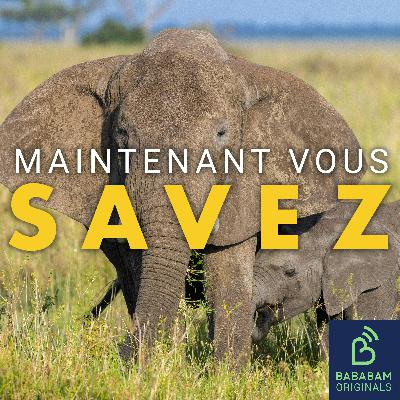 Les animaux peuvent-ils vraiment prédire les catastrophes naturelles ? Les animaux peuvent-ils vraiment prédire les catastrophes naturelles ?
