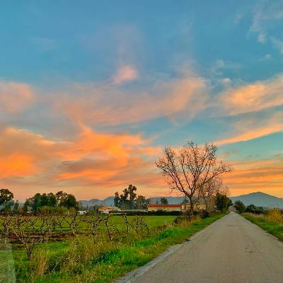 Episodio 42: Al di là dei sogni Episodio 42: Al di là dei sogni