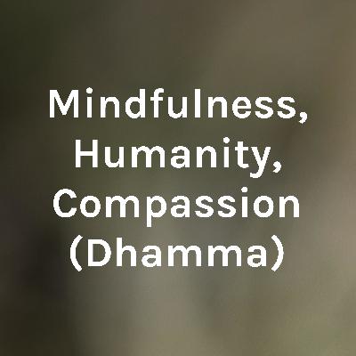 Mindfulness - Chanmyay SayaDaw Ashin Janakabhivamsa