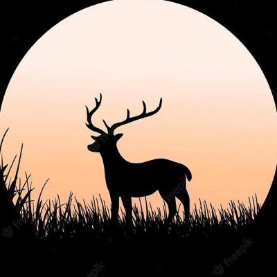 La luna llena más grande de todo el año