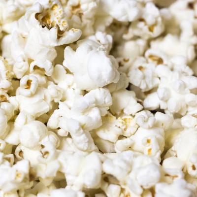 Nuestras películas favoritas del 2025 Nuestras películas favoritas del 2025