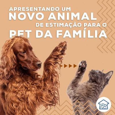Apresentando um novo animal de estimação para o pet da família Apresentando um novo animal de estimação para o pet da família