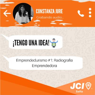 Emprendedurismo #1: Radiografía Emprendedora