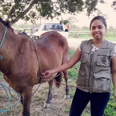 POSICIÓN CORRECTA DEL ORDEÑADOR