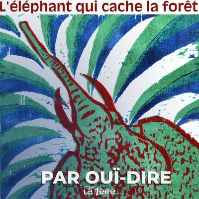 'L'éléphant qui cache la forêt' de Didier Tcheuileu Pounsi, première partie