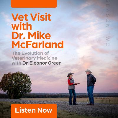 The Evolution of Veterinary Medicine with Dr. Eleanor Green Part Two