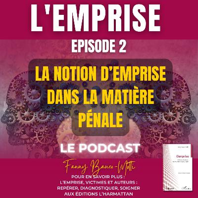 LA NOTION D'EMPRISE DANS LA MATIÈRE PÉNALE
