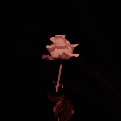 Vol. 007|聊聊《繁花》,聊聊人生 —— 年轻人的欲望去哪了? Vol. 007|聊聊《繁花》,聊聊人生 —— 年轻人的欲望去哪了?