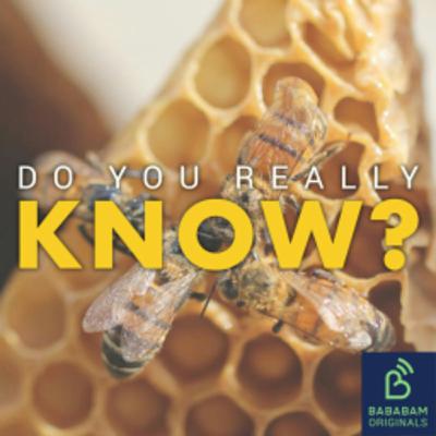 What are primitive reflexes? What are primitive reflexes?