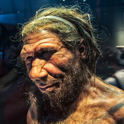134. Neandertalczycy nad Zwoleńką 70 000 lat temu - K. Pyżewicz, B. Woronko, W. Grużdź