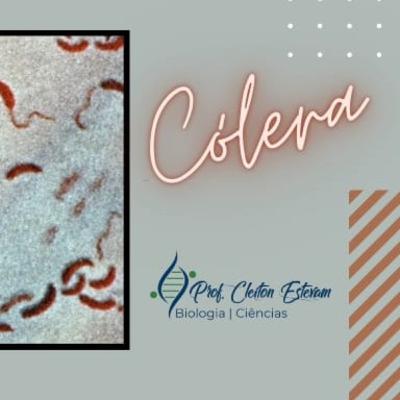 2° Podcast | Cólera