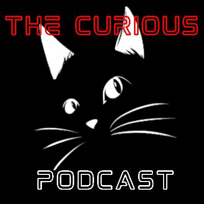 Stay Curious 03: The Curious Cats Questionable Quiz