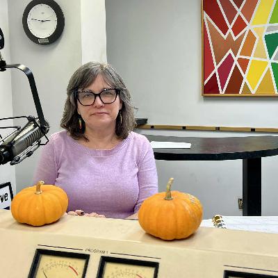 La Crosse library director Dawn Wacek on closing north branch, what's ahead La Crosse library director Dawn Wacek on closing north branch, what's ahead