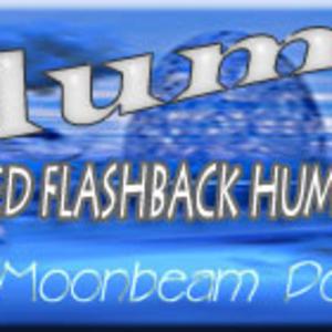 Volume 4 - The Twisted Flashback Humor Parade