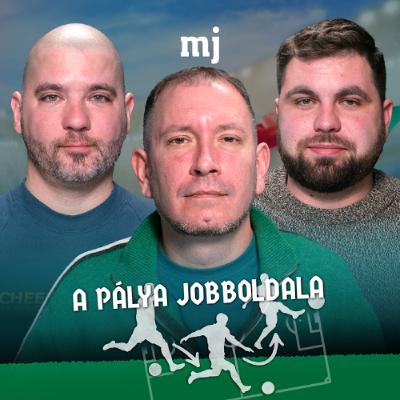 A  sportújságírók is ártottak a magyar futballnak