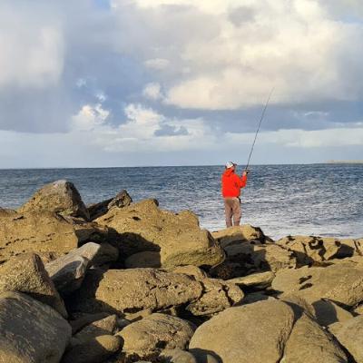 La mise à jour hebdo de la pêche à la ligne Irlandaise, 26 Sep 2025