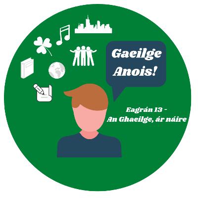 An Ghaeilge, Ár náire