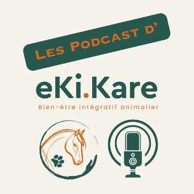 Qu'est-ce qu'une émotion ?