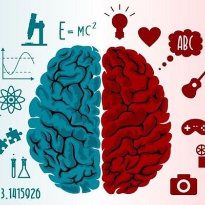 El cerebro