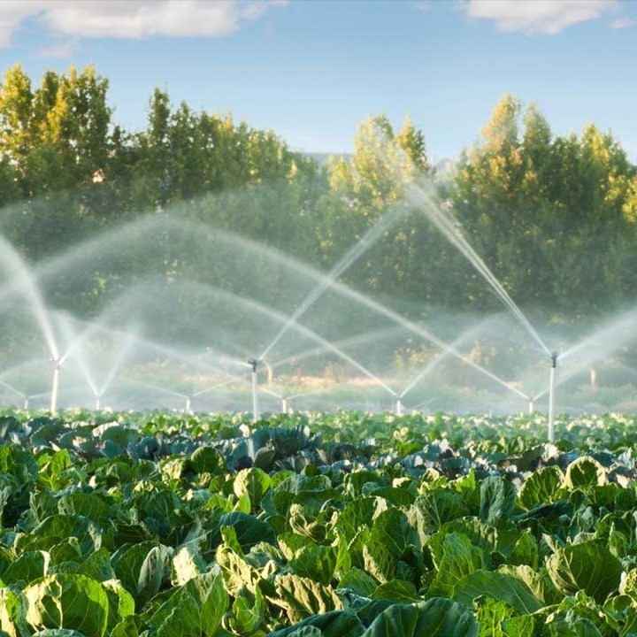 Sprinkler And Irrigation System Repair And Installation